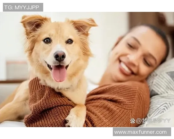 足球明星们的爱犬大揭秘:你不知道的明星与狗狗的温馨故事 足球明星们的爱犬大揭秘:你不知道的明星与狗狗的温馨故事